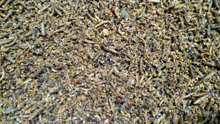 INSECT MENU MIX 1,5kg